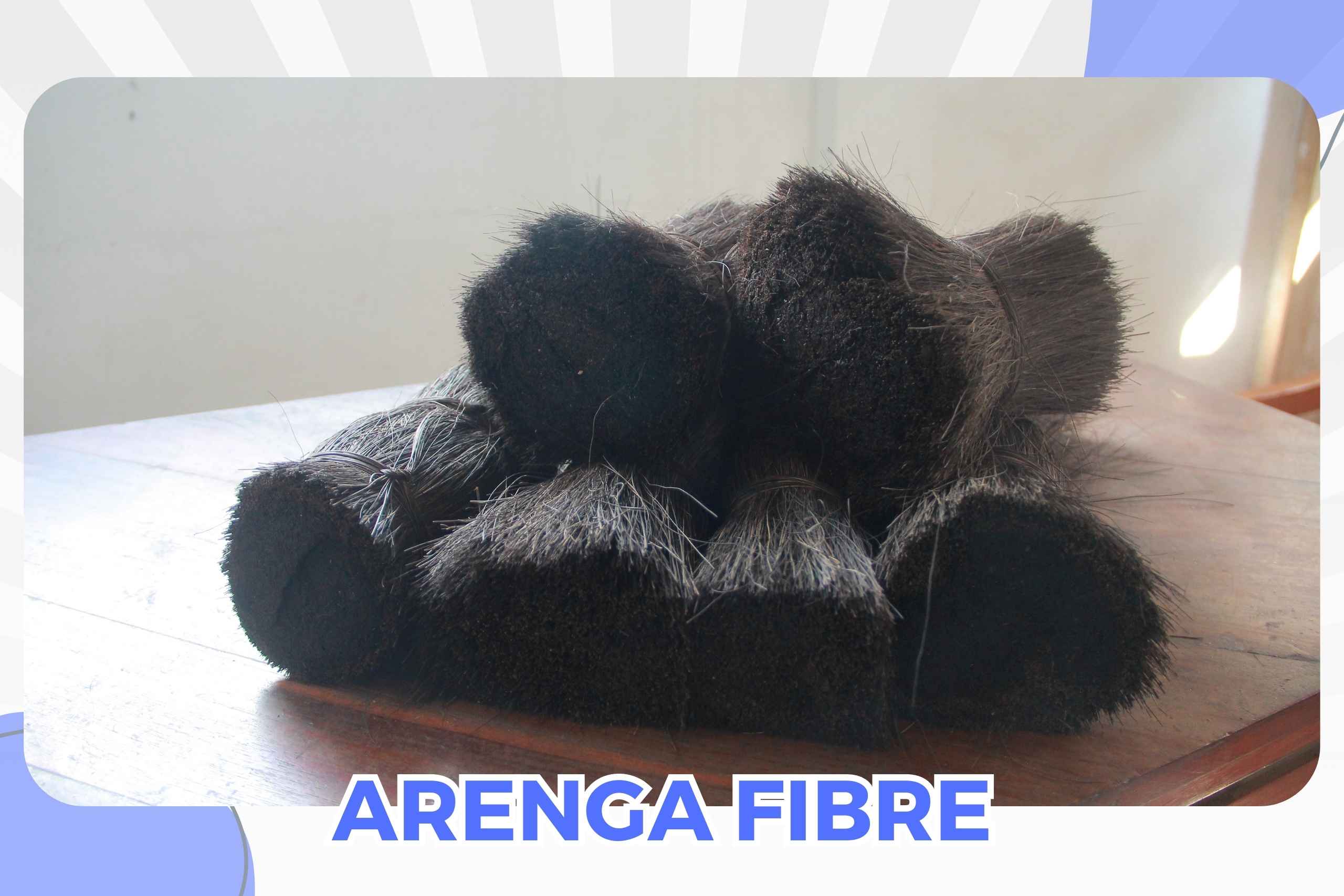 ARENGA FIBRE1