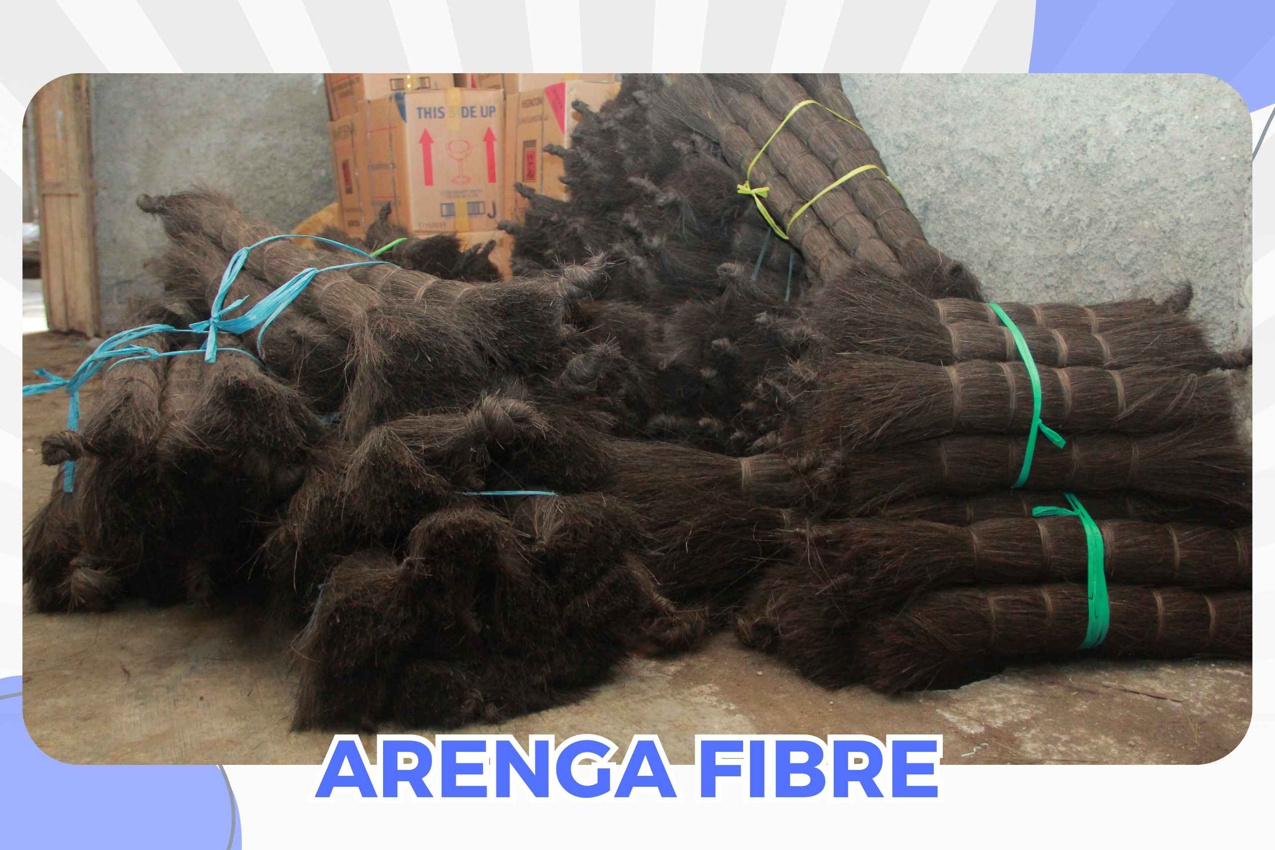 ARENGA FIBRE3