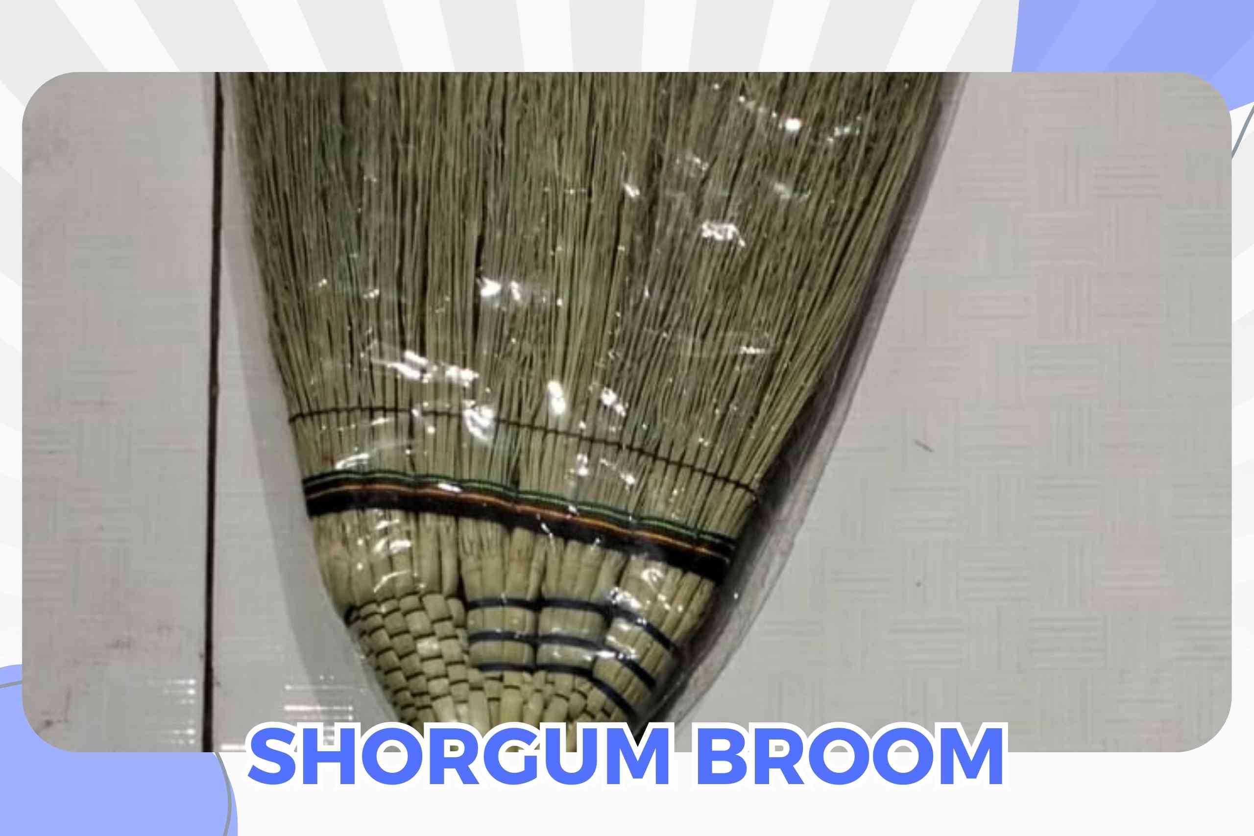 SHORGUM BROOM 5